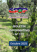 Boletín 172 - Octubre 2025